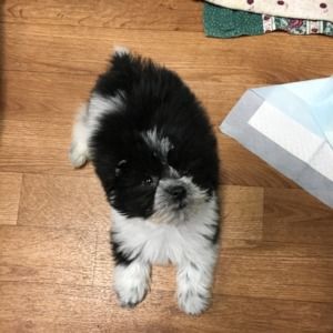 Meet your Posher, Heather